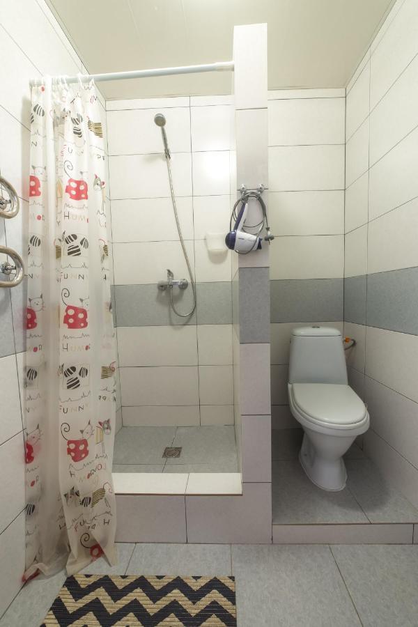 Villa Zhanna Central Park Truskavets Bagian luar foto